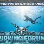 zıpkıncıforum
